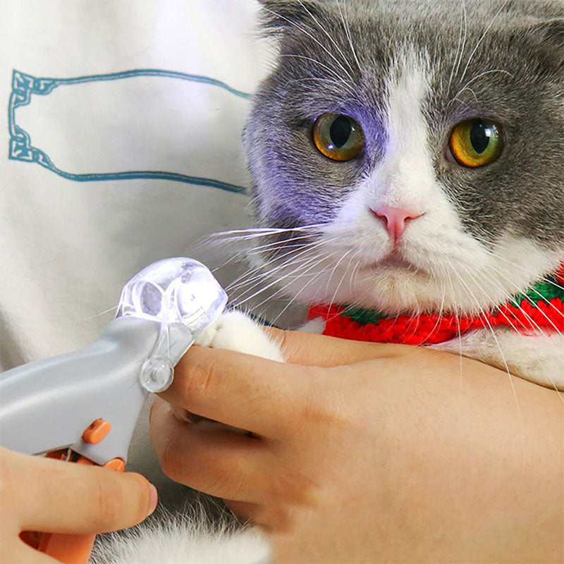 Advanced dog nail clipper with quick sensor, LED light for safe pet grooming & precise nail trimming.