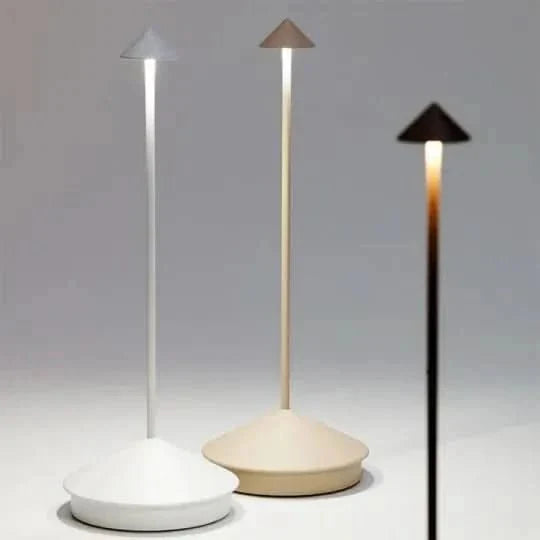 Flexible dimmable wireless LED spotlight for indoor & outdoor accent lighting. USB rechargeable and portable.