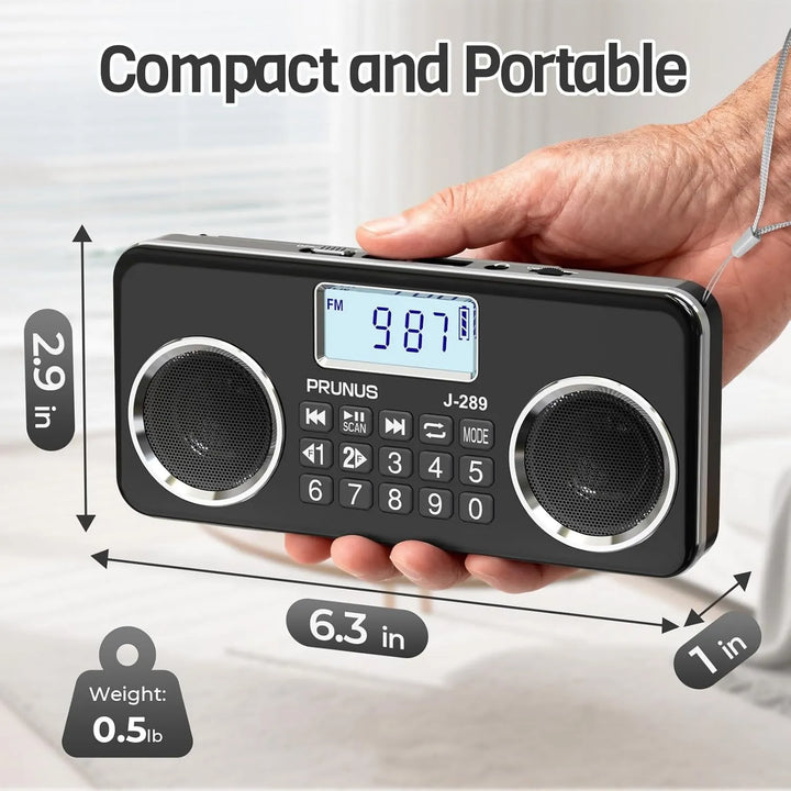 Portable HD Radio with Dual Speakers and LCD Display