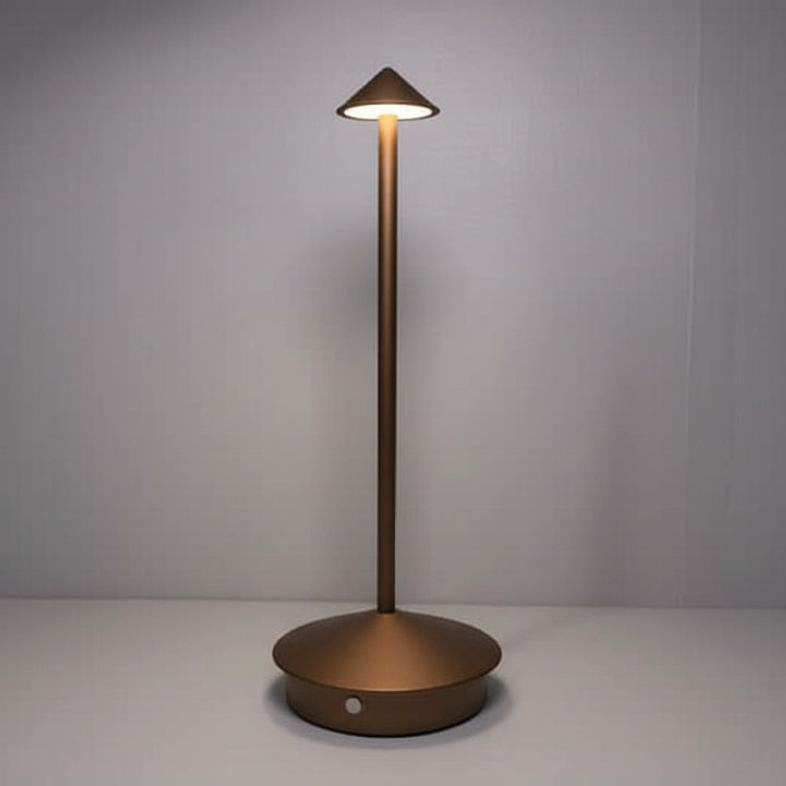 USB rechargeable wireless LED spotlight. Dimmable, waterproof, perfect for modern indoor/outdoor lighting.