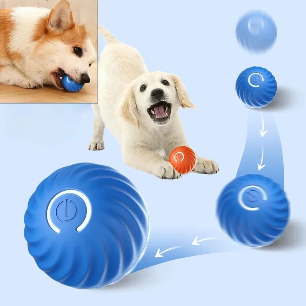 Smart interactive dog play ball, an automatic pet toy designed for mental stimulation and active exercise.