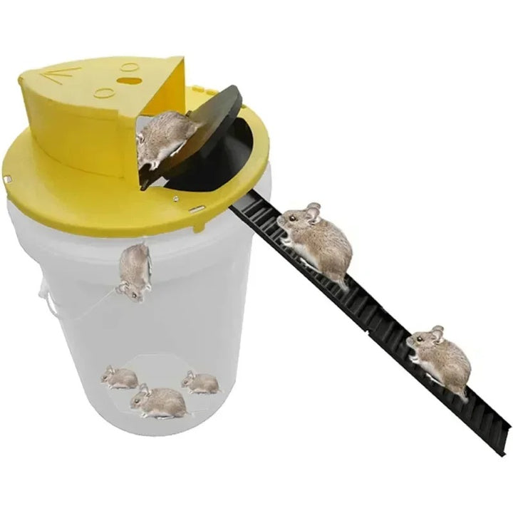 Automatic 4-Pack Bucket Lid Mouse Trap - Pest Control Solution