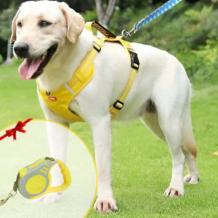 No-pull dog harness with padded comfort, front & back clips, and control handle for effective training.