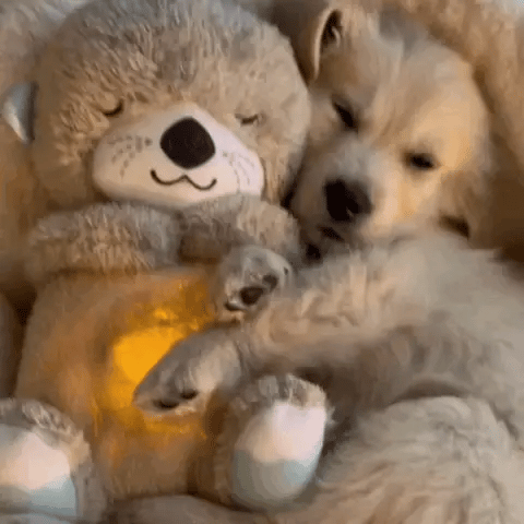 Soft koala plush toy with gentle light, a soothing bedtime friend & comfort companion for all ages.
