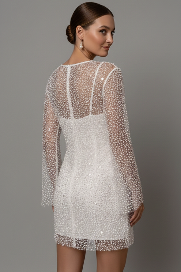 Sleeveless black mini dress for women featuring a chic sheer overlay & round neck, ideal for elegant parties.