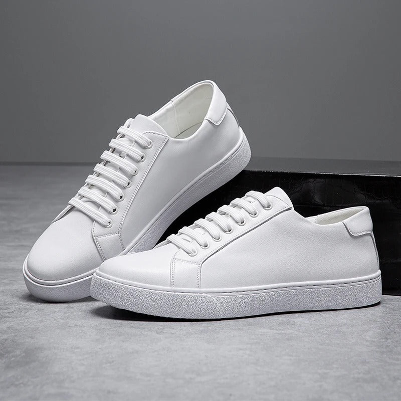 Collection of classic men's leather low-top sneakers in various colors for versatile styling.
