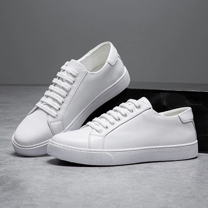 Collection of classic men's leather low-top sneakers in various colors for versatile styling.