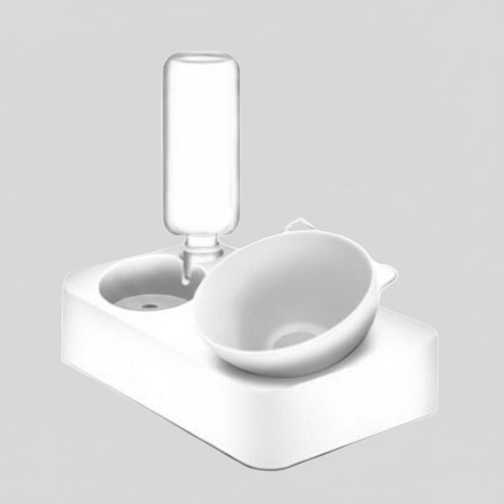 Ergonomic elevated cat bowl & water dispenser for healthy eating, anti-vomiting design. Essential pet supplies.