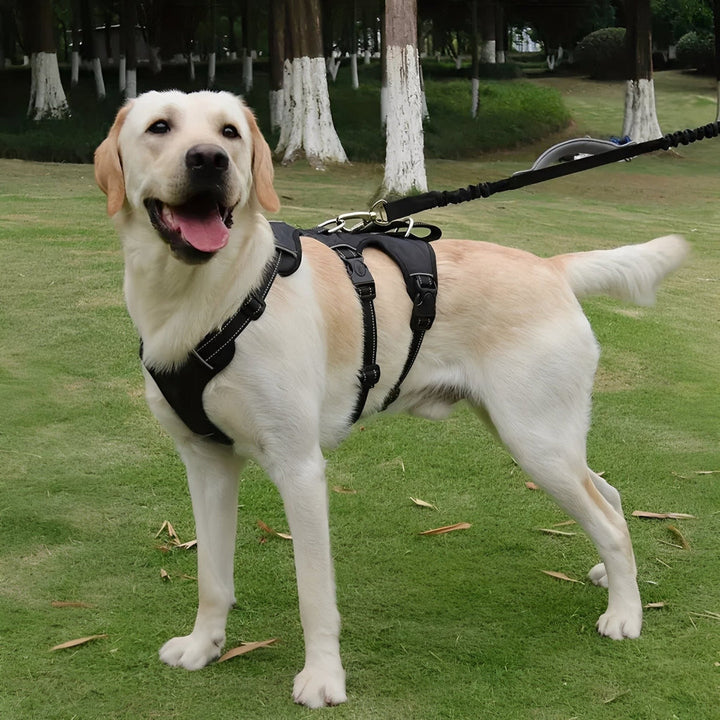 Reflective Adjustable Dog Harness ensuring pet safety for comfortable dog walking and outdoor training.
