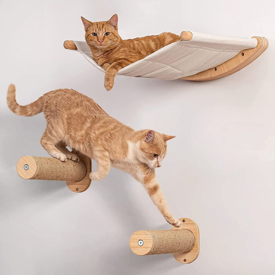 Cat wall-mounted climbing shelves & jute hammock set for play. Modern cat furniture, pet accessory for active cats.