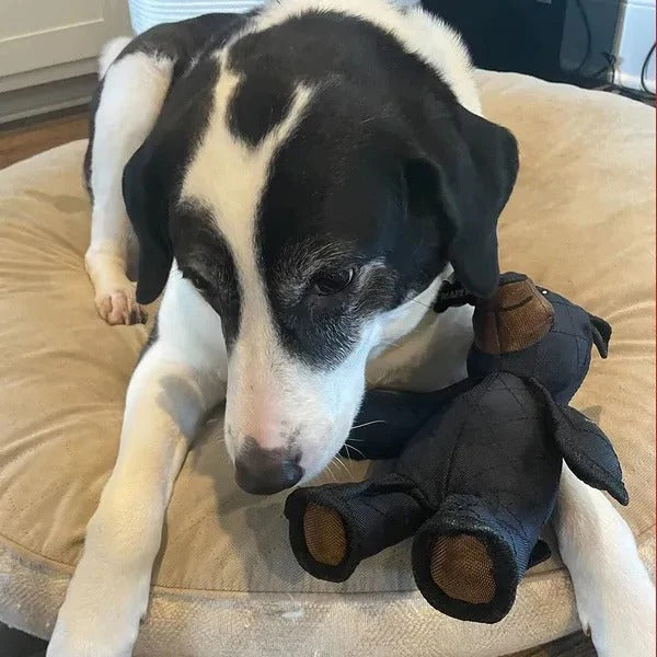 Tough bear dog toy for aggressive chewers. A durable and interactive squeaky toy, built to last.