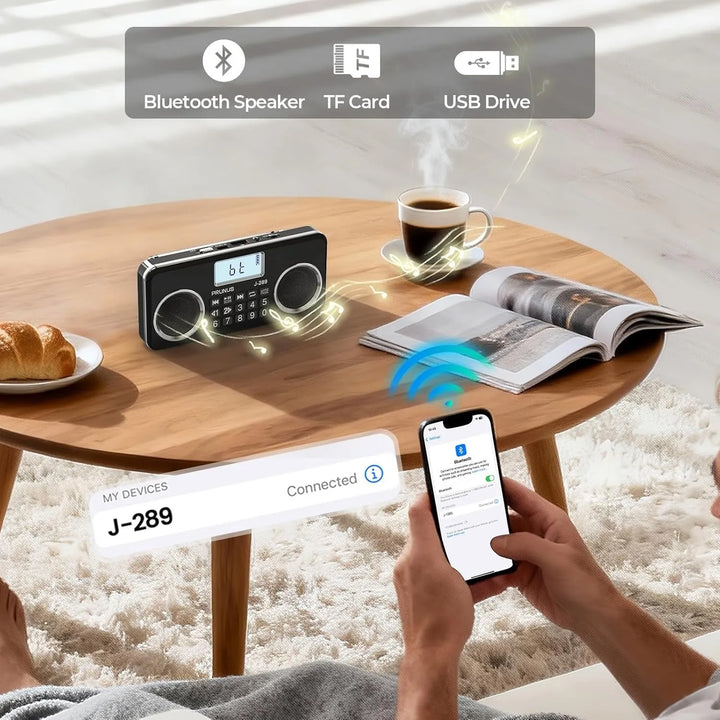 Portable HD Radio with Dual Speakers and LCD Display