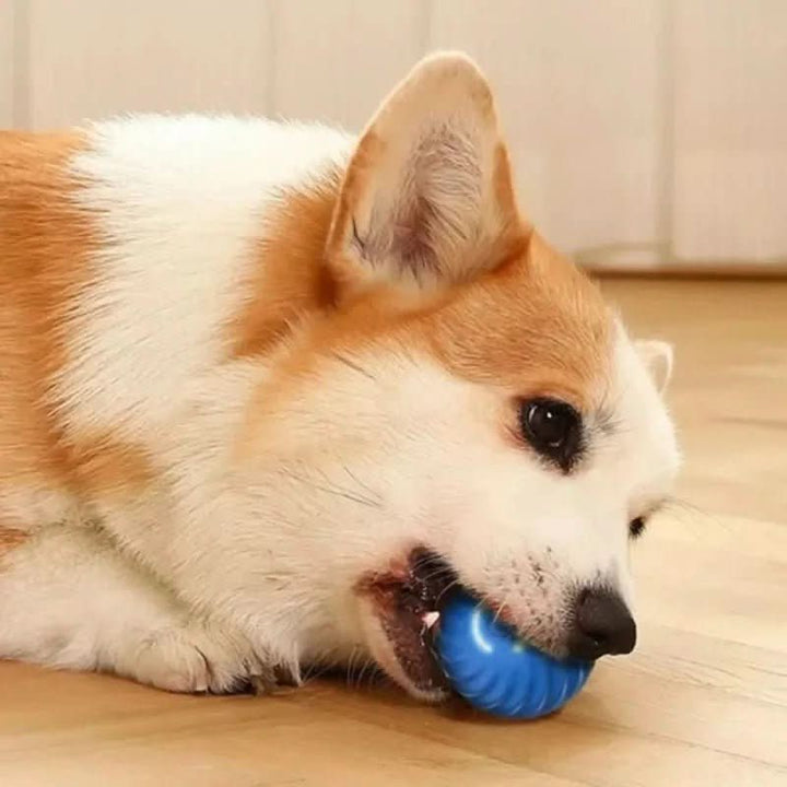 Durable rubber automatic dog toy ball, interactive pet accessory providing stimulating play & exercise.