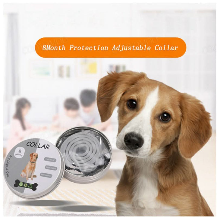 Flea & tick defense collar for pets. Long-lasting 8-month protection for dog & cat health.