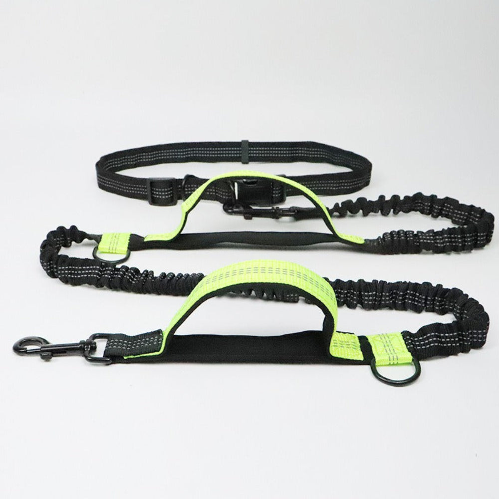 Unisex dog lead with car seat belt function for pet safety. Durable, reflective leash for safe travel & walking.