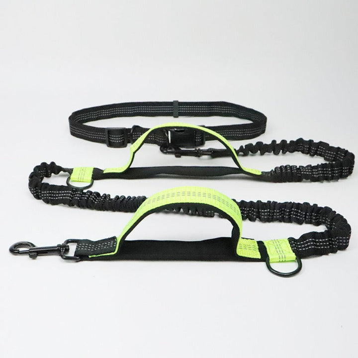 Unisex dog lead with car seat belt function for pet safety. Durable, reflective leash for safe travel & walking.