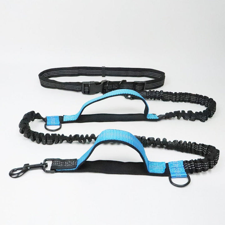 Versatile hands-free dog leash for training & daily walks. Reflective, durable canine gear for pet owners.