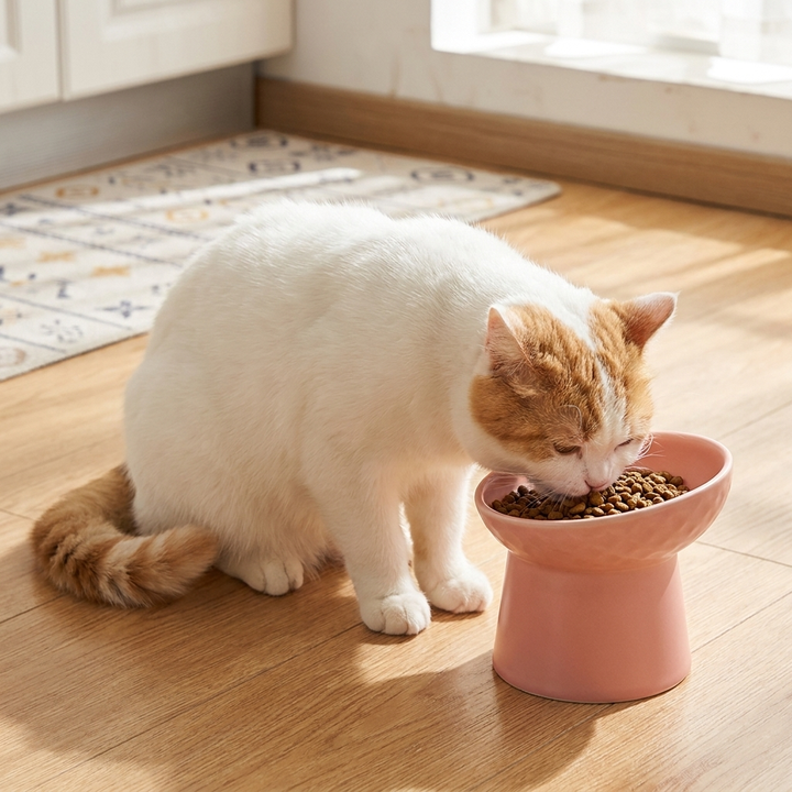 Nordic tilted ceramic cat bowl for comfortable, healthy feeding; reduces neck strain for felines.