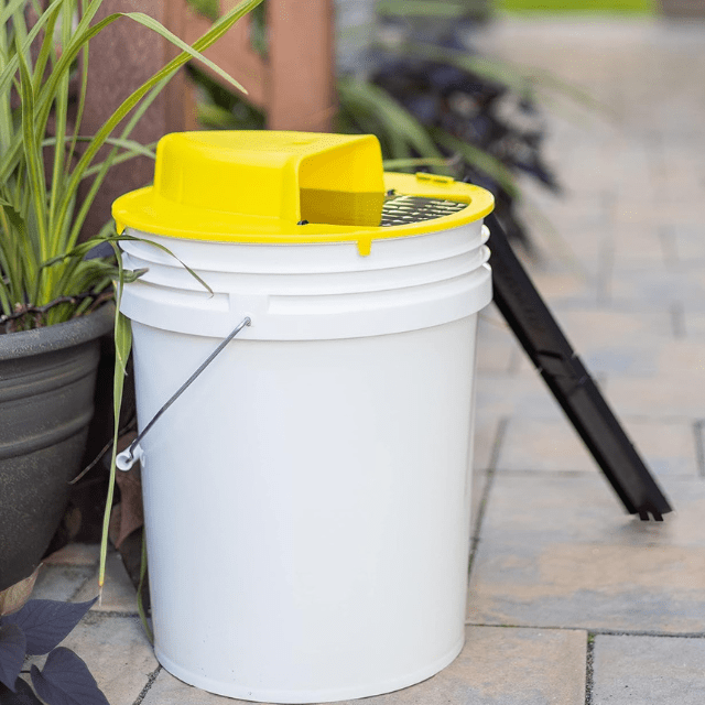 Humane Auto Reset Bucket Lid Mouse Trap - Lexians