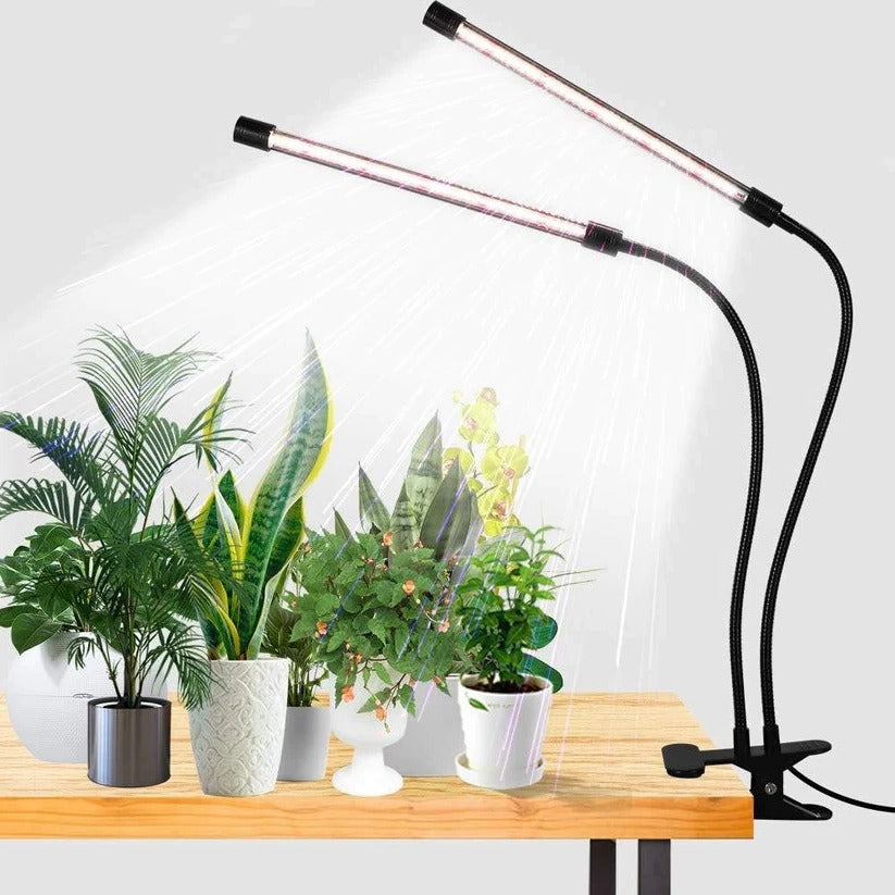 Clip-on LED grow light with timer & dual gooseneck for indoor plants. Full spectrum plant care for succulents & herbs.