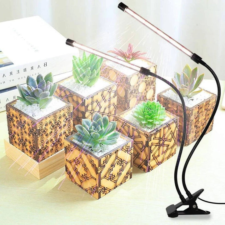 Full spectrum clip-on plant grow light with automatic timer, easy to set up for healthy indoor plant growth.