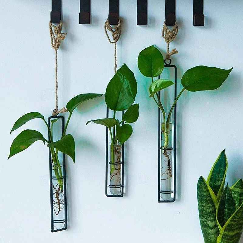 Modern hanging glass tube wall planter set for indoor plant cuttings, ideal for propagation & home decor.