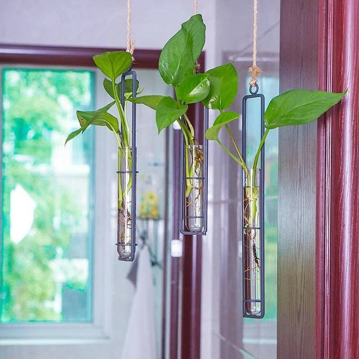Borosilicate glass wall planter with natural jute rope for stylish indoor plant propagation station.
