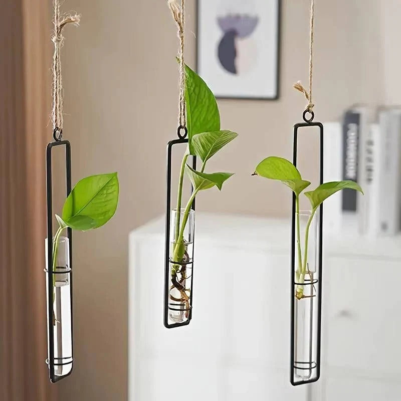 Elegant vertical garden propagation station: glass tube planters for houseplant cuttings & wall decor.