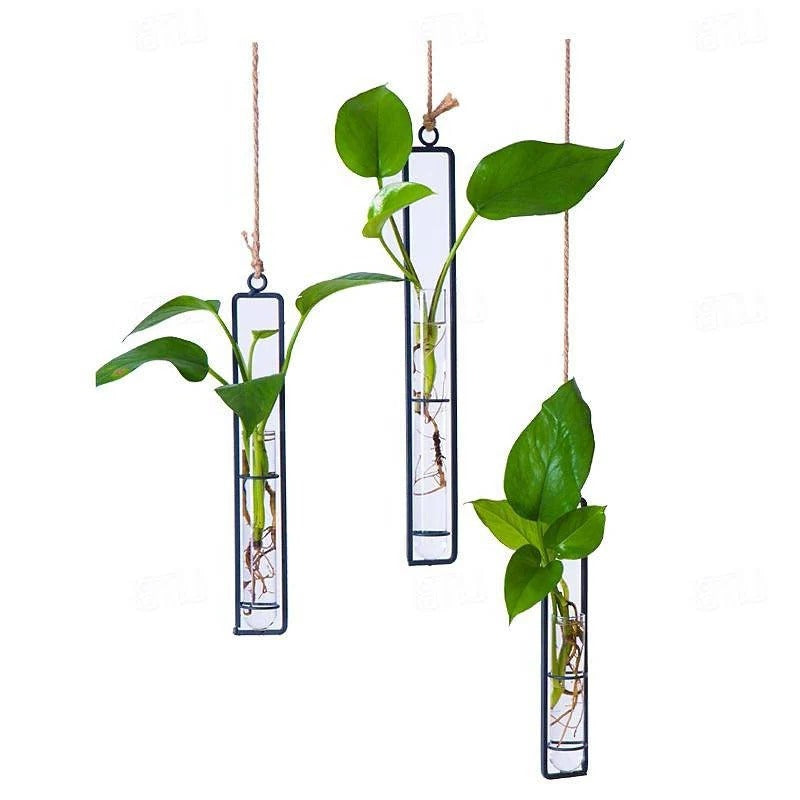 Set of hanging glass tube planters for multiple indoor plant cuttings, perfect modern wall decor.