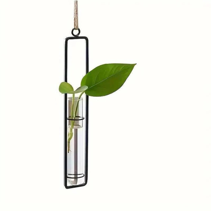 Minimalist glass tube hanging planter for plant cuttings, a chic addition to any modern home decor.