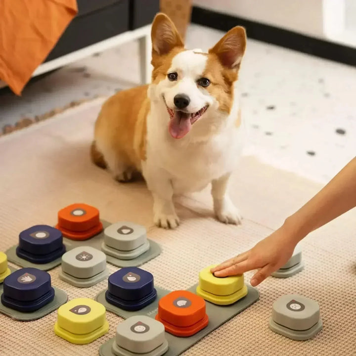 Colorful interactive dog communication buttons for pet training and canine speech. Essential dog enrichment toy.