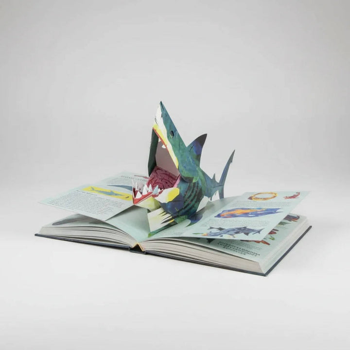 Parent and child enjoying story time with an educational interactive dinosaur pop-up book, sparking learning.