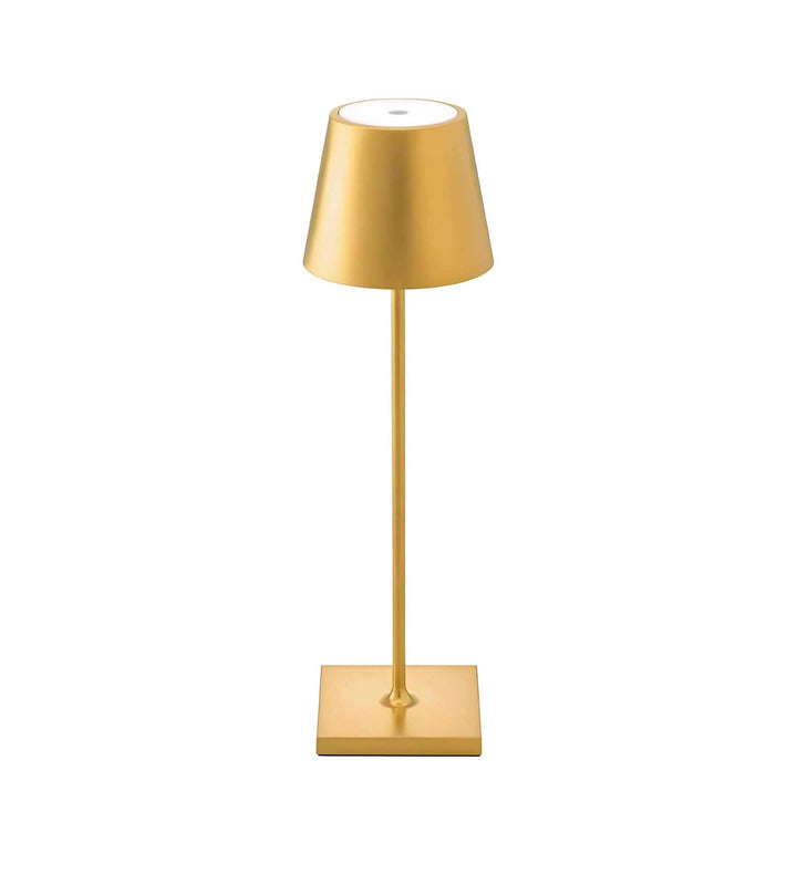 Versatile cordless LED lamp for ambient lighting. Dimmable, touch control, waterproof & portable. Unisex design.