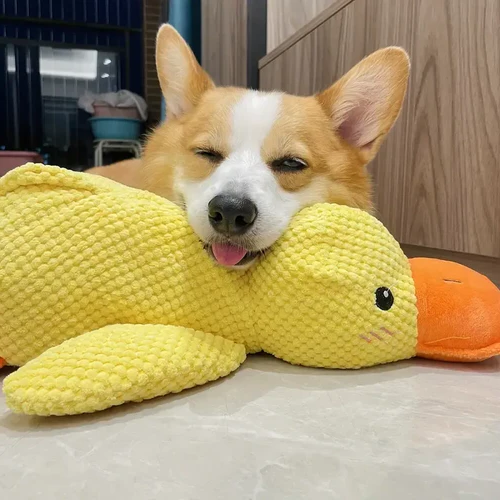 "Interactive calming duck toy for dogs, vibrant colors, durable, quacking sound for engaging play and stress relief."