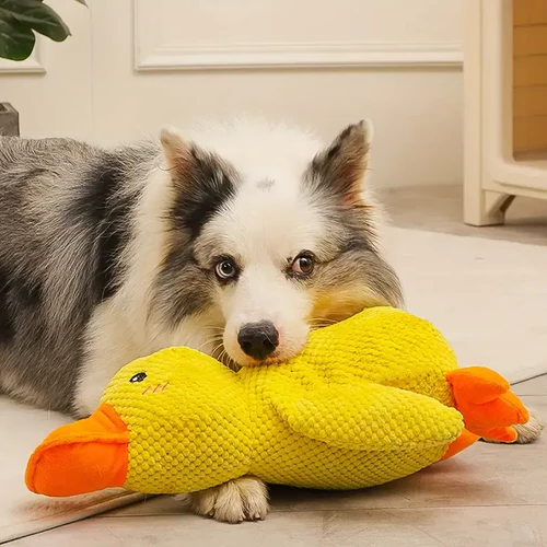 "Interactive calming duck toy for dogs, vibrant colors, durable, quacking sound for engaging play and stress relief."