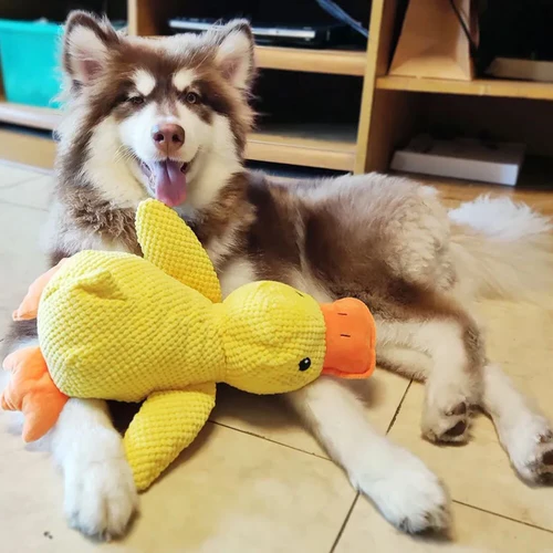 "Interactive calming duck toy for dogs, vibrant colors, durable, quacking sound for engaging play and stress relief."