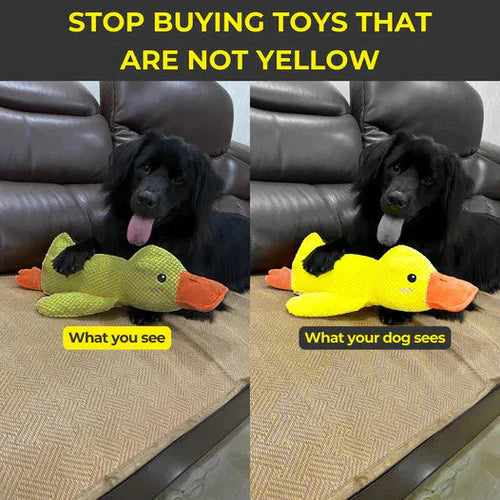 "Interactive calming duck toy for dogs, vibrant colors, durable, quacking sound for engaging play and stress relief."