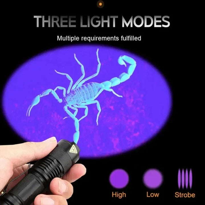 Ultraviolet blacklight torch for detecting invisible pet urine stains, food spills, and general dirt on surfaces.