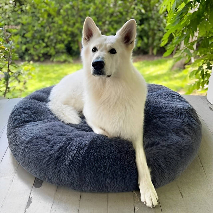 Orthopedic Calming Dog Bed with Memory Foam Support - Lexians