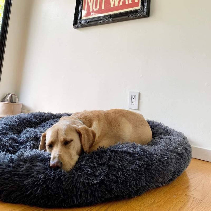 Orthopedic Calming Dog Bed with Memory Foam Support - Lexians
