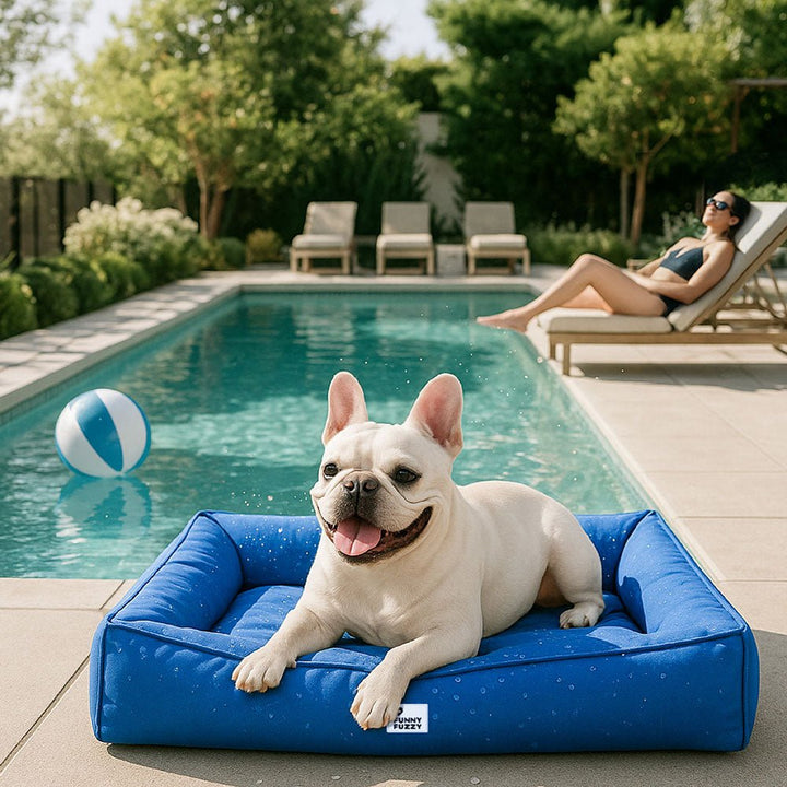 Orthopedic Waterproof Large Dog Bed for Optimal Comfort - Lexians