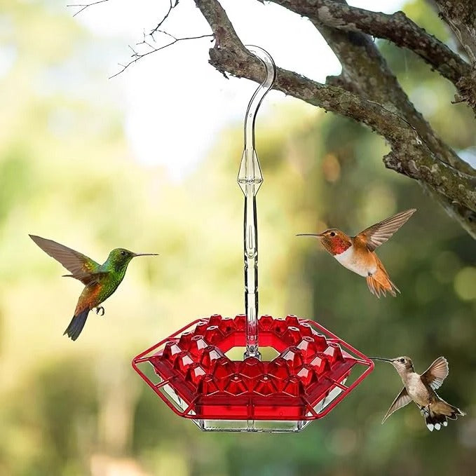 Outdoor ant-proof hummingbird feeder with perch, perfect for garden bird watching & nectar feeding.