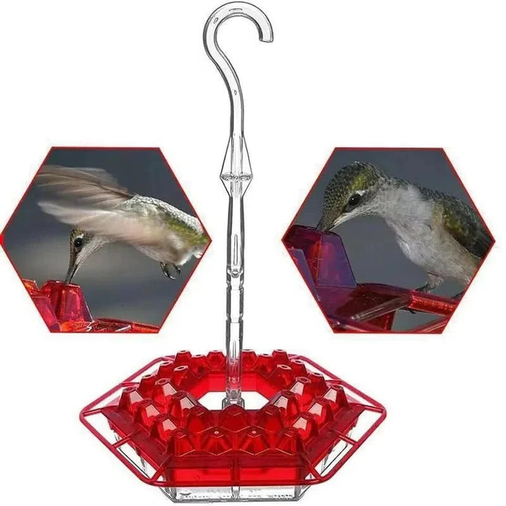 Vibrant outdoor hummingbird feeder with an ant moat, offering pest control for your garden birds.