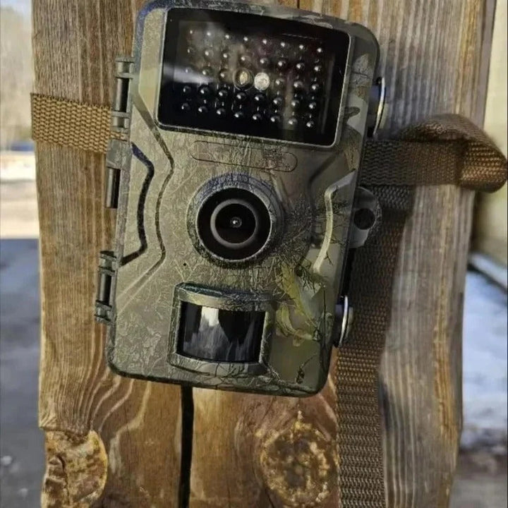 Weatherproof outdoor trail camera with infrared night vision for reliable animal observation.