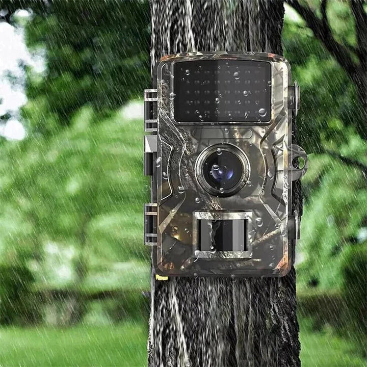 High-resolution wildlife camera with night vision & motion detection for detailed outdoor footage.