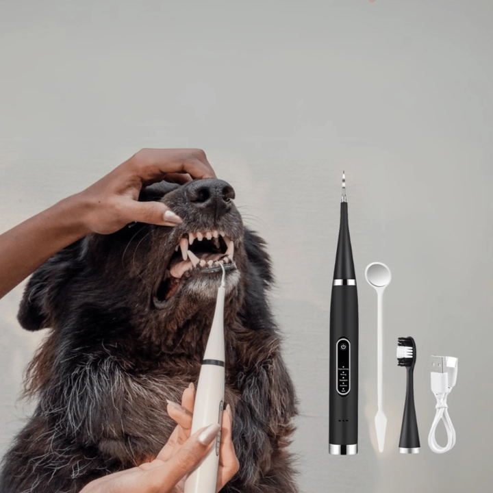 Easy-to-use pet paw cleaner brush kit protects homes from muddy paw prints after outdoor walks. For dogs & cats.