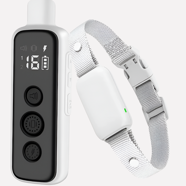 Rechargeable waterproof dog training collar with remote control for obedience & behavior correction. Pet training aid.