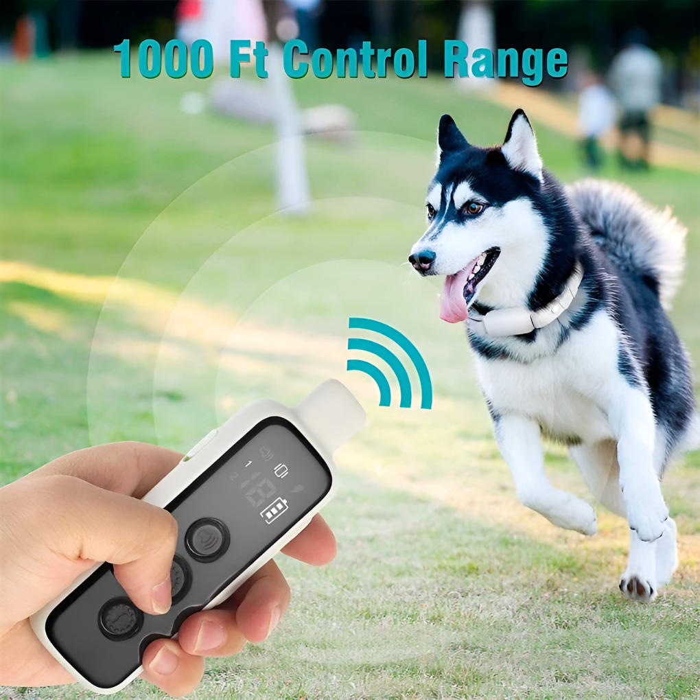 Black dog training collar with remote for effective obedience training & behavior aid. Waterproof, rechargeable pet accessory.