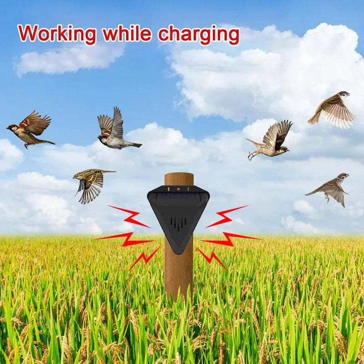 Advanced solar bird & pest repeller. Automatic sound deterrent for garden and yard security. Humane outdoor control.