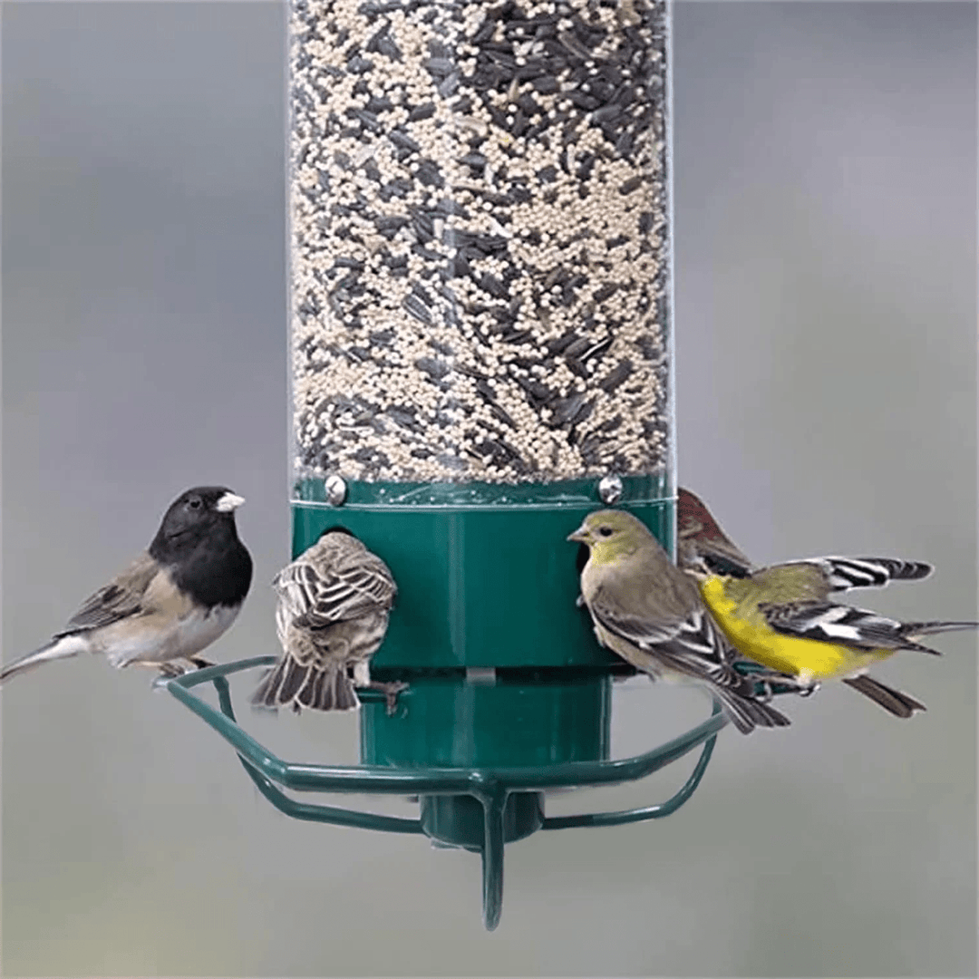 Squirrel - Proof Metal Bird Feeder with Rotating Perch - Lexians